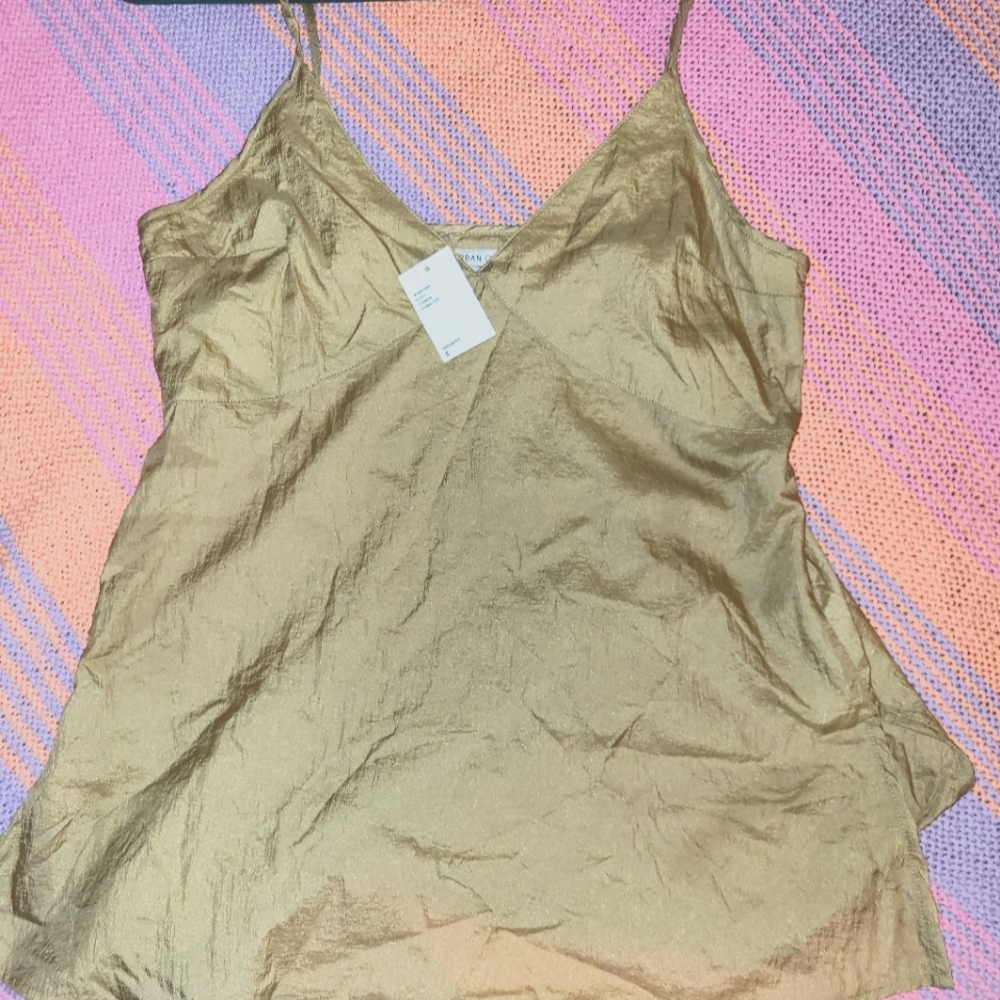 Sheer Camisole Top